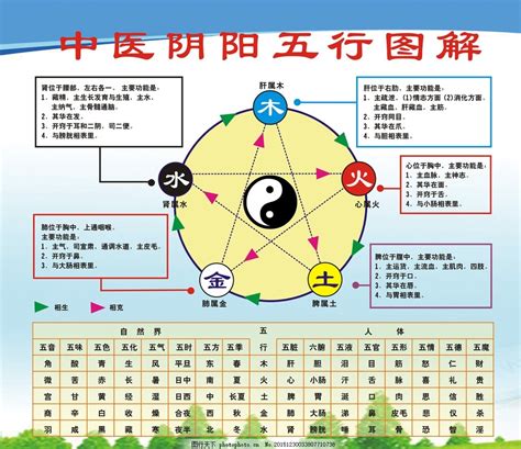 心 五行|中医学基础